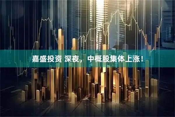 嘉盛投资 深夜，中概股集体上涨！