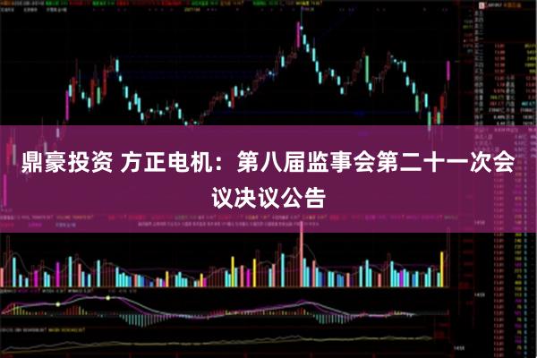 鼎豪投资 方正电机：第八届监事会第二十一次会议决议公告