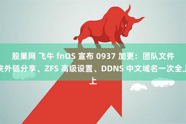 股巢网 飞牛 fnOS 宣布 0937 加更:团队文件夹外链分享、ZFS 高级设置、DDNS 中文域名一次全上