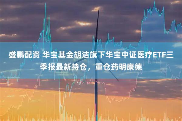 盛鹏配资 华宝基金胡洁旗下华宝中证医疗ETF三季报最新持仓，重仓药明康德